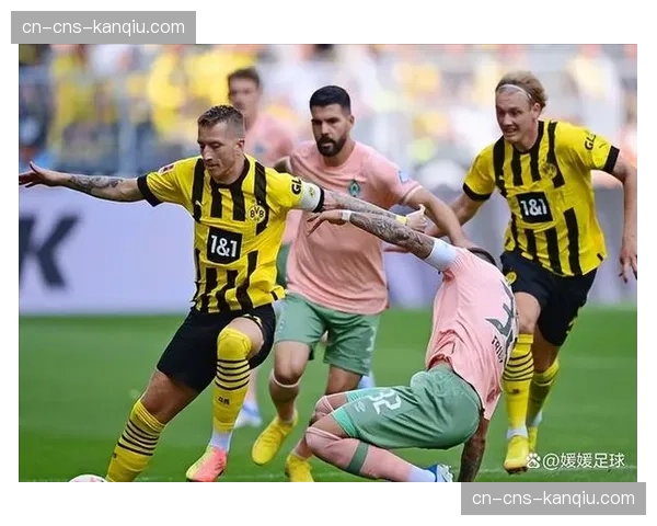 斯图加特2-1绝杀科隆，米舍诺维奇第84分钟破门助球队拿下关键三分